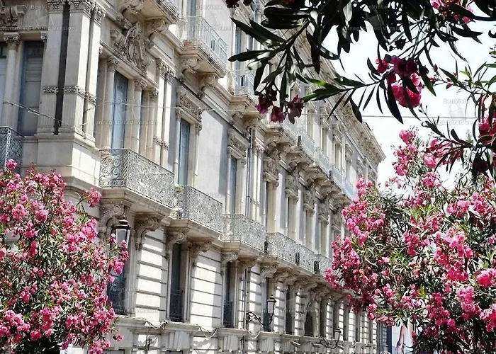 Elios بيت ضيافة 4*